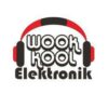 Lowongan Kerja Sales Marketing di PT. Wook Kool Elektronik