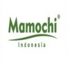 Lowongan Kerja Graphic Designer – Video Editor di Mamochi Indonesia