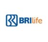 Loker PT. Asuransi BRILIFE