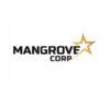 Lowongan Kerja CS Care – CS Deal Maker – Google Ads Specialist di Mangrove Corp