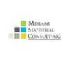 Lowongan Kerja Staff Admin di Meilani Statistical Consulting