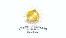 Lowongan Kerja TSSR (Technical Sales & Representatif) – Sales di PT. Sentra Gemilang Mulia - Yogyakarta