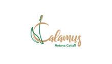 Lowongan Kerja Social Media Specialist – Marketing Executive di PT. Calamus Rotana Cattail - Yogyakarta