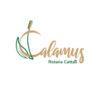 Loker PT. Calamus Rotana Cattail