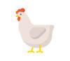 Lowongan Kerja Perusahaan Rumah Pemotongan Ayam 21