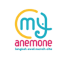 Lowongan Kerja Perusahaan Anemone Jogja