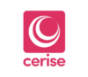 Lowongan Kerja Perusahaan PT. Cerise Information Technology