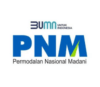 Lowongan Kerja Account Officer di PNM Mekaar (PT Micro Madani Institute)