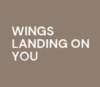 Lowongan Kerja Perusahaan Wings Landing On You