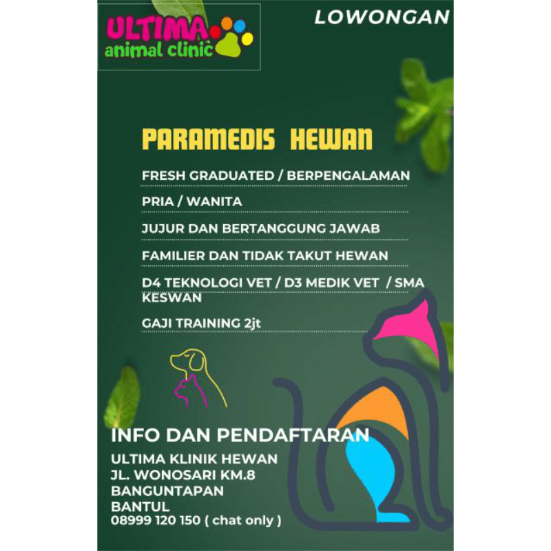 Lowongan Kerja Paramedis Hewan di Ultima Animal Clinic - LokerJogja.ID