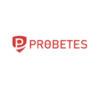 Lowongan Kerja CRM (Customer Relationship Management) di PROBETES