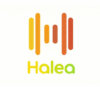 Lowongan Kerja Data Support Officer di Halea Group