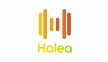 Lowongan Kerja Data Support Officer di Halea Group - Yogyakarta