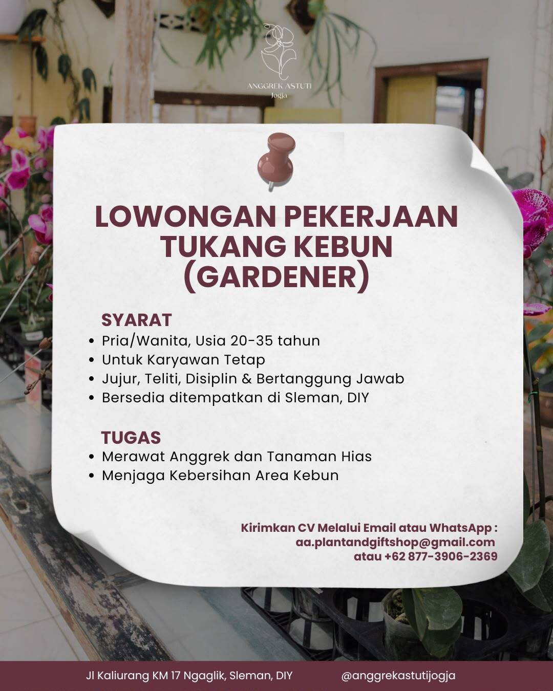 Job Image