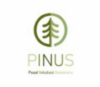 Lowongan Kerja Cook & Cook Helper – Steward – Server – Cleaning Service – Fnb Manager di PT. Pusat Inkubasi Nusantara