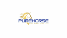 Lowongan Kerja Content Creator Specialist di PT. Pure Mandiri Sehat (Purehorse) - Yogyakarta
