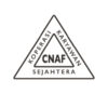Lowongan Kerja Relationship Officer – Collection Officer di Koperasi Jasa Karyawan CNAF Sejahtera