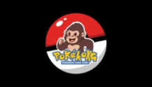 Lowongan Kerja Social Media & Live Streaming di Pokekong Jogja - Yogyakarta