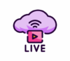 Lowongan Kerja Host Live Streaming di PT. Kreasi Mitra Bersama